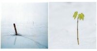 Fotoausstellung “Minimalismus”
