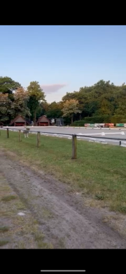 Pfingstturnier des ZRFV Mettingen