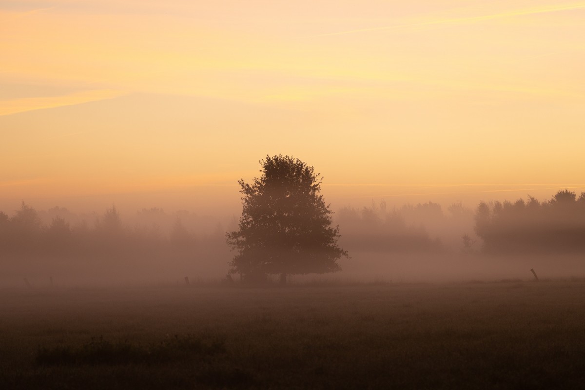 Recker Moor