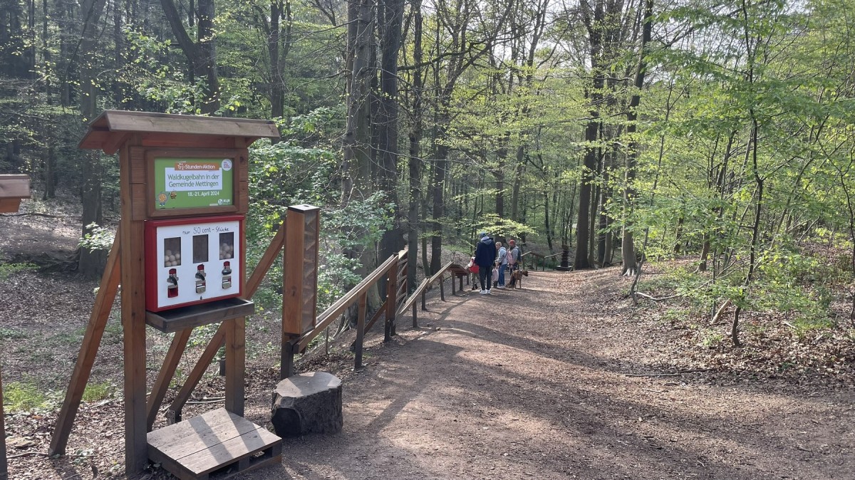 Waldkugelbahn