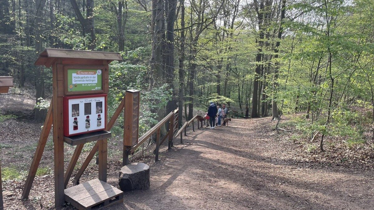 Waldkugelbahn