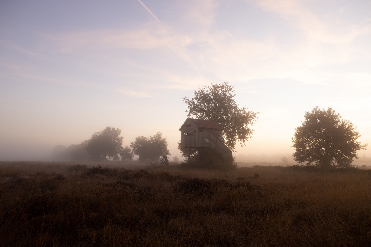 Naturschutzgebiet Recker Moor