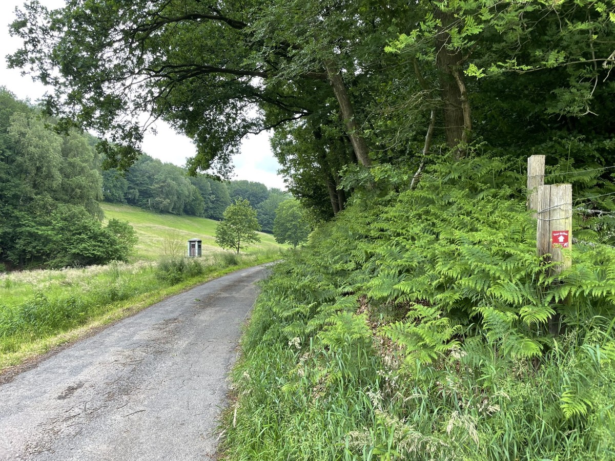 Natur entlang der Route
